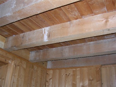 Luca Crosio - Camera Prima