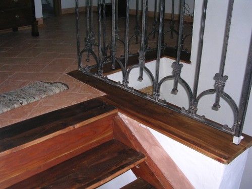 Luca Crosio - Scala larice vecchio