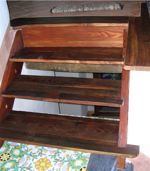 Luca Crosio - Scala larice vecchio