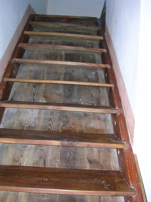 Luca Crosio - Scala larice vecchio